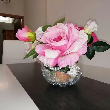 Apartment Punta Pula